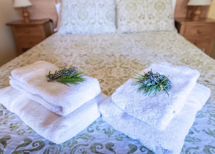 乡村民宿 Maribel